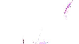 Geile babe squirt tijdens webcam show!