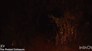 Sexy BBW Big Booty Ebony Final Girl Captured By Masked Dick-Slinging Slasher And Fucked Like A Slut On Halloween